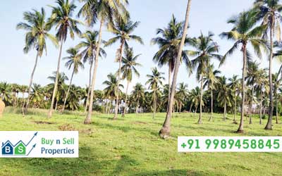 Flats, Plots in Siripuram Visakhapatnam